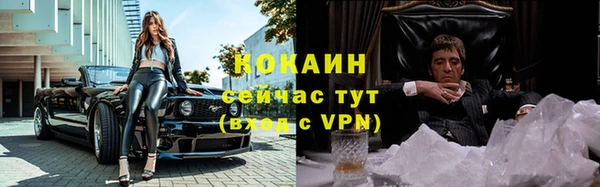 тгк Вяземский