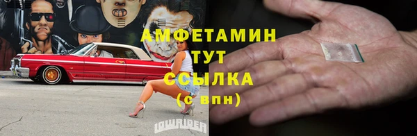 гидра Кулебаки