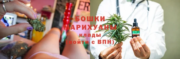 тгк Вяземский