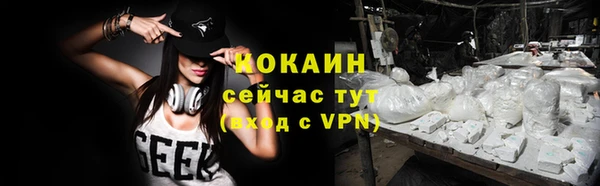 гидра Кулебаки