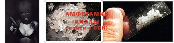гидра Вязники