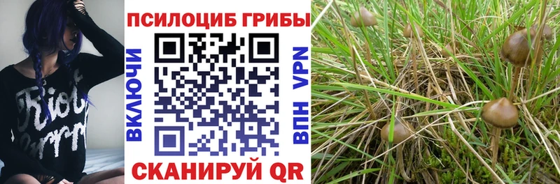 продажа наркотиков Малмыж даркнет какой сайт Галлюциногенные грибы ЛСД